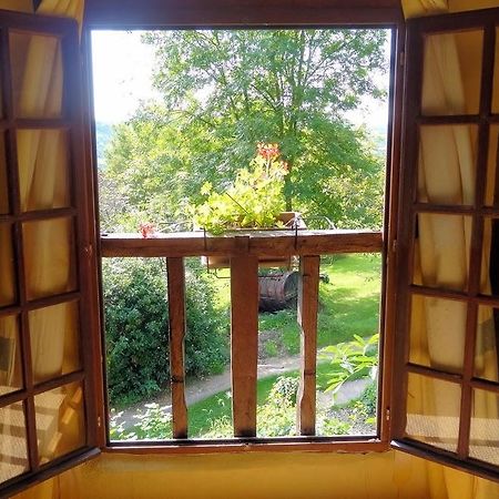 La Boursaie Bed & Breakfast Livarot-Pays-d'Auge Dış mekan fotoğraf