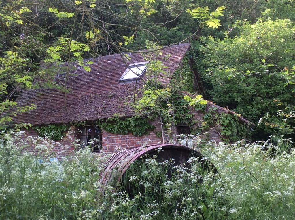 La Boursaie Bed & Breakfast Livarot-Pays-d'Auge Dış mekan fotoğraf